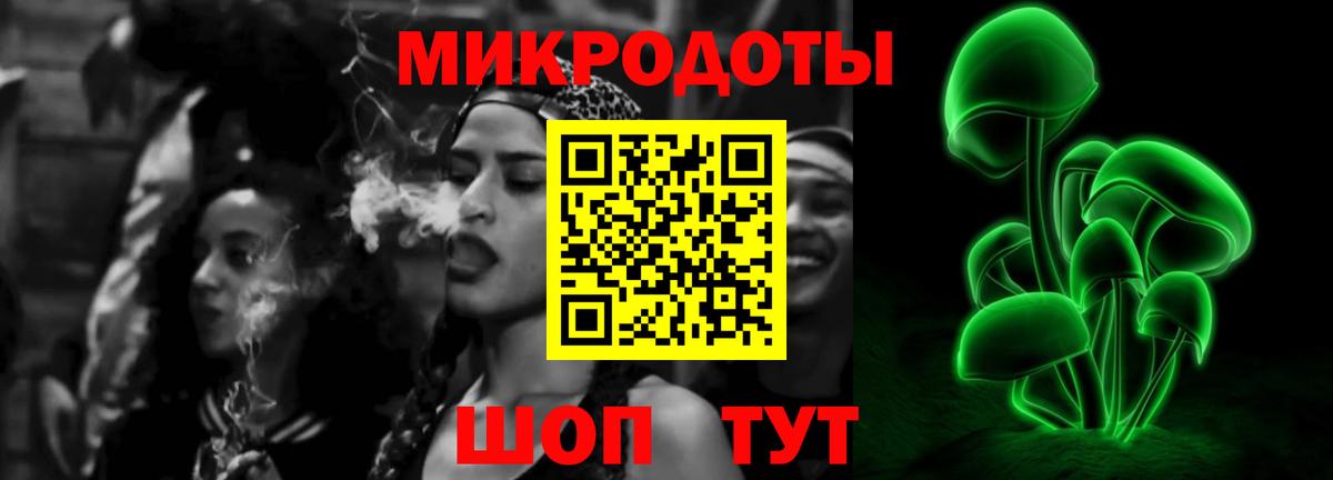 Галлюциногенные грибы Psilocybe Янаул